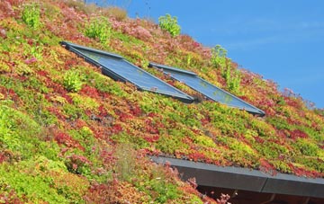 Haffenden Quarter living roof systems